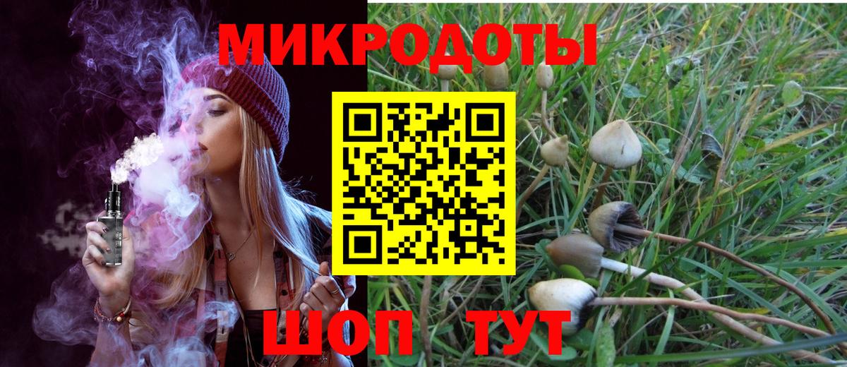 Псилоцибиновые грибы GOLDEN TEACHER  Вход с VPN  Тында 